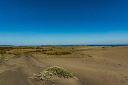 Laguna Albufera | Reserva El Yali | sin título 20 de diciembre de 2018 DSC00453 | Litoral Poeta | Antítesis, el convento, fotografias, Gulppiz, Litoral Poeta, Reserva nacional el yali, Santo Domingo