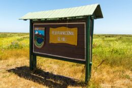 Laguna Albufera | Reserva El Yali | sin título 20 de diciembre de 2018 DSC00476 | Litoral Poeta de Las Artes | Antítesis, el convento, fotografias, Gulppiz, Litoral Poeta, Reserva nacional el yali, Santo Domingo