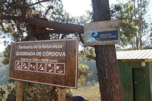 Quebrada de Córdova | sin título 04 de julio de 2019 DSC06183Quebrada de Cordova Litoral Poeta El Tabo El Quisco Lugares | Litoral Poeta de Las Artes | El Quisco, El Tabo, litoral de los poetas, Quebrada, Quebrada de Córdova