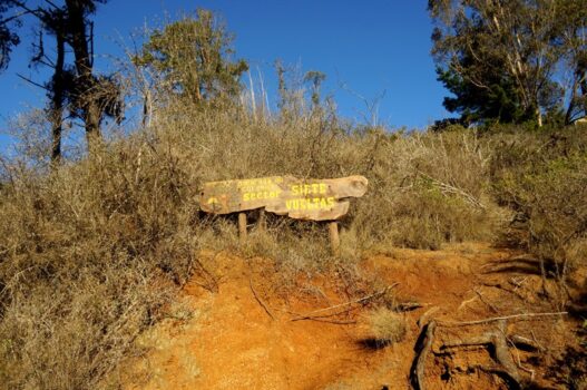 Quebrada de Córdova | sin título 04 de julio de 2019 DSC06382Quebrada de Cordova Litoral Poeta El Tabo El Quisco Lugares | Litoral Poeta de Las Artes | El Quisco, El Tabo, litoral de los poetas, Quebrada, Quebrada de Córdova