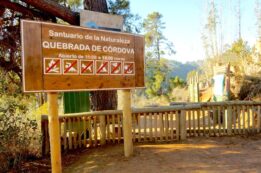 Quebrada de Córdova | sin título 04 de julio de 2019 DSC06401Quebrada de Cordova Litoral Poeta El Tabo El Quisco Lugares | Litoral Poeta de Las Artes | El Quisco, El Tabo, litoral de los poetas, Quebrada, Quebrada de Córdova