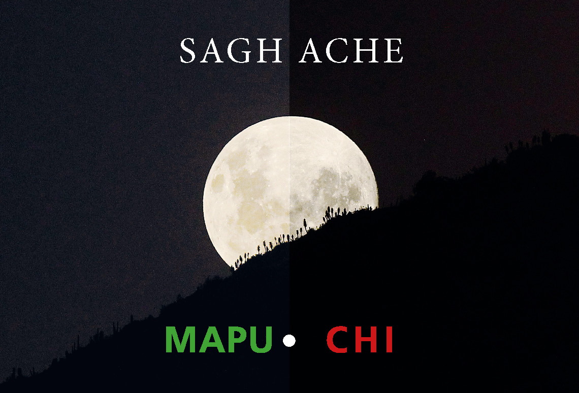 mapuche mapuchi