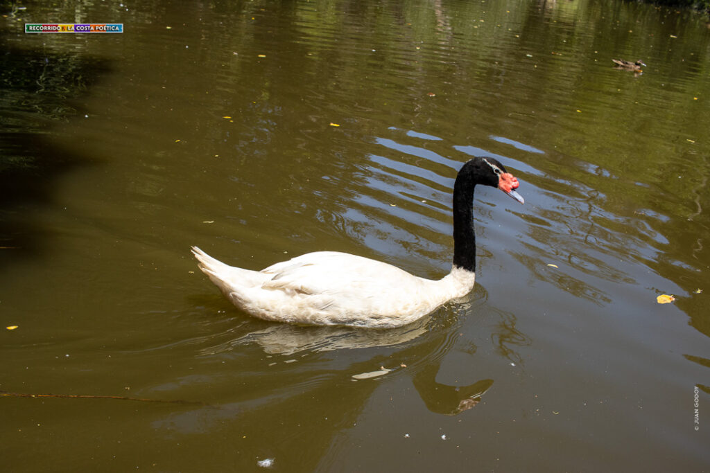 Parque Tricao - Santo Domingo / © Juan Godoy