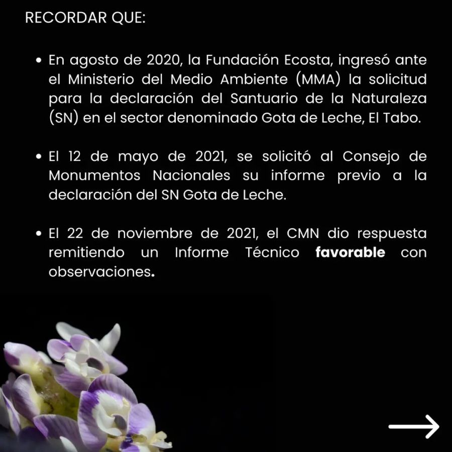 Ecosta oficia al MMA por dilatación excesiva en resolución sobre Gota de Leche | gota de leche Fundacion Cosmos 4 | Litoral Poeta | Desarrollo, ecopoesía, El Tabo, Las Cruces, litoral de los poetas, Litoral Poeta, ministerio medio ambiente, naturaleza, poesía, poiesis, Santuario de la Naturaleza