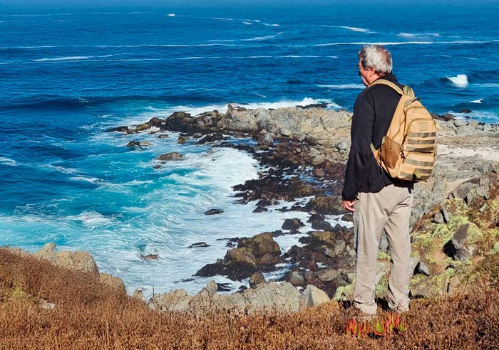 El Despeñadero de Álvaro Ruiz | alvaro ruiz el despenadero | Litoral Poeta de Las Artes | Álvaro Ruiz, El Quisco, Gulppiz, jonás, Jorge Teillier, litoral de los poetas, Litoral Poeta, poemario, Punta de Tralca, saghache