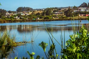 Laguna El Peral