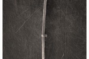 1_TBlF66_tUk69CVatqaPL2g