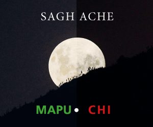 mapuche mapuchi