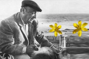 Neruda y sus flores de la costa