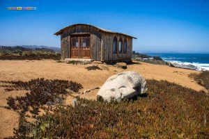 Cantalao / © Juan Godoy