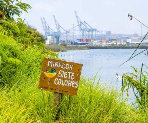 imagen letrero siete colores en humedal ojos de mar en san antonio