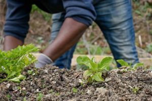 inmigrantes-y-exonoministas