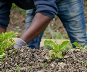 inmigrantes-y-exonoministas