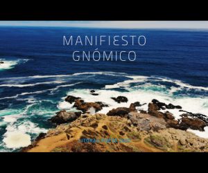 Manifiesto Gnómico